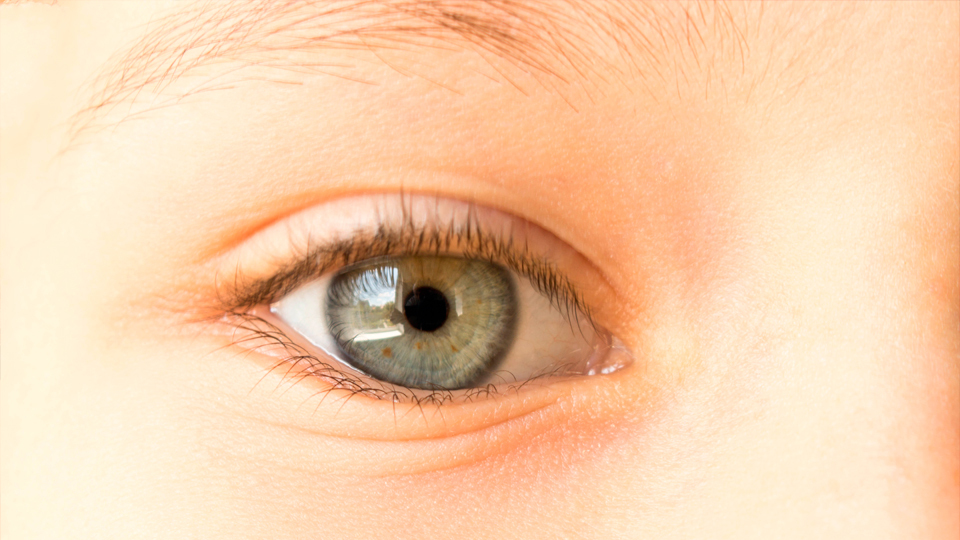 What factors determine our eye colour?